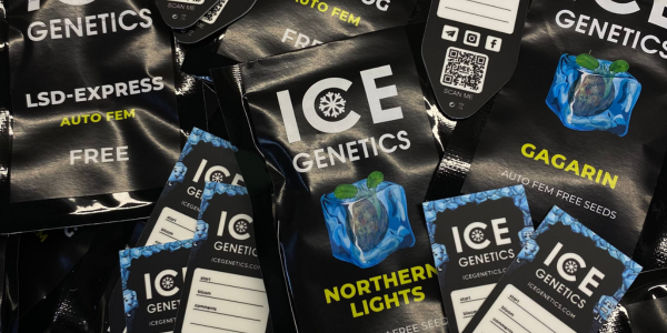 Новый сидбанк Ice Genetics уже в Генплане!