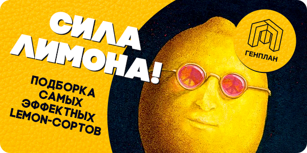 -16% скидка на Lemon-сорта